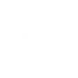 Logo for JBS S.A.