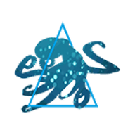 Logo for Coda Octopus Group Inc