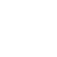 Logo for Third Harmonic Bio Inc