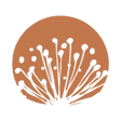 Logo for Caravel Minerals