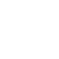 Logo for Amlogic (Shanghai) Co.,Ltd.