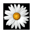 Logo for Implenia AG