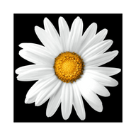 Logo for Implenia AG