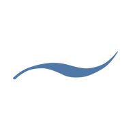 Logo for TFF Pharmaceuticals Inc