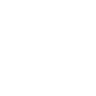 Logo for ANGLE plc