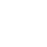 Logo for Vardhman Textiles Limited