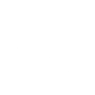 Logo for Pharmala Biotech Holdings Inc