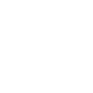 Logo for Ambarella Inc