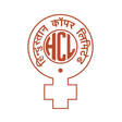 Logo for Hindustan Copper