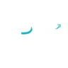 Logotype for Network People Services Technologies Limited