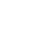 Logo for 2Seventy Bio Inc