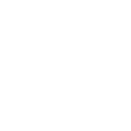 Logo for Spartan Resources Limited