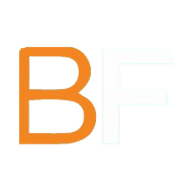Logo for BayFirst Financial Corp