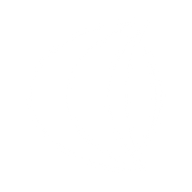Logo for Nordic Lights Group Oyj