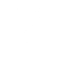 Logo for NuVista Energy Limited