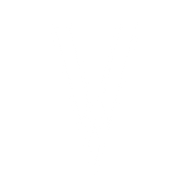 Logo for NuVista Energy Limited