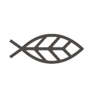 Logo for Icelandic Salmon