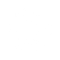 Logo for Volpara Health Technologies Ltd