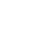 Logo for Wiit S.p.A.