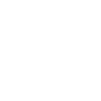 Logo for TSS Inc