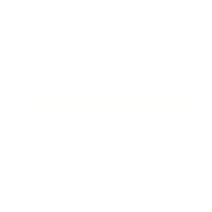 Logo for Lindex Group Oyj