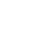 Logo for NGK Insulators Ltd