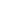 Logotype for Silvaco Group Inc