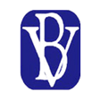 Logo for BV Financial