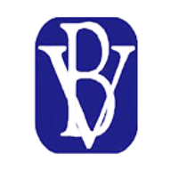 Logo for BV Financial Inc