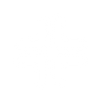 Logo for Lannett Company Inc