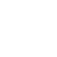 Logo for Electro Optic Systems Holdings Limited