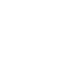 Logo for Shanghai Electric Group Co Ltd