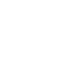 Logo for RaySearch Laboratories