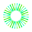 Logo for Sunrise Energy Metals