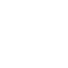 Logotype for WS WeSports Group