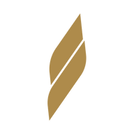 Logo for NWTN Inc