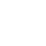 Logo for Waystream Group