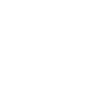Logo for ViaCon Group