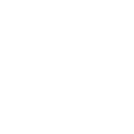 Logo for Acenta Group