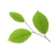 Logo for Pharma Equity Group