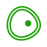 Logotype for Biomea Fusion Inc