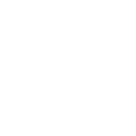 Logo for Ziccum