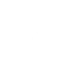 Logo for Northam Platinum Holdings Limited