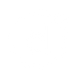Logo for Dellia Group
