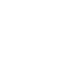 Logo for Newcap Holding
