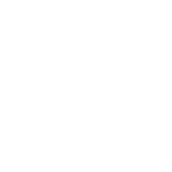 Logo for Wetteri Oyj