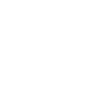Logotype for Pangaea Logistics Solutions Ltd