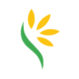 Logo for Lynch Group Holdings Limited
