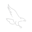 Logo for Saker Aviation Services