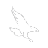 Logo for Saker Aviation Services Inc